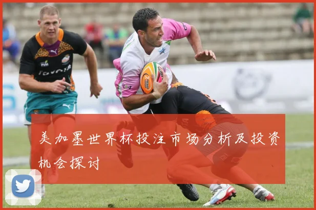 美加墨世界杯投注市场分析及投资机会探讨